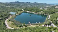 Ordu'ya Yeni Sosyal Alan Açiklamasi Fatsa Gaga Gölü Tabiat Parki