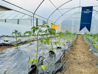 TIKA'dan Bosna Hersek'te Kadin Çiftçilere Sera Destegi