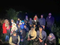 Edirne'de 21 Kaçak Göçmen Yakalandi