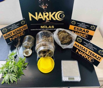 Uyusturucu Taciri Tutuklandi