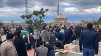 5 Ay Arayla Trafik Kazasinda Hayatini Kaybeden Anne-Ogul Yan Yana Haberi
