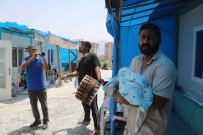 5 Kizin Ardindan Dogan Erkek Evlat Davul Ve Zurnayla Karsilandi