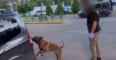 Batman'da Takibe Alinan Araçlarda 93 Kilo Esrar Ele Geçirildi