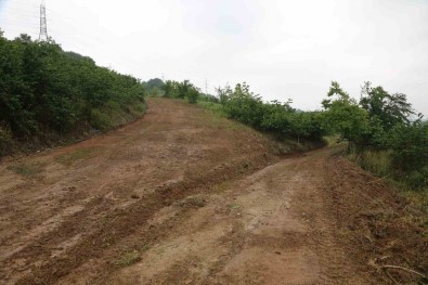 Iki Mahalleyi Baglayacak 25 Metrelik Yolda Çalismalar Basladi