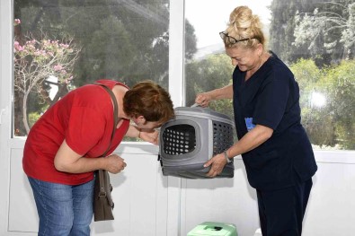 Kedi Kisirlastirma Merkezi'ne Hayvanseverlerin Ilgisi Her Geçen Gün Artiyor