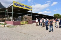 Manisa'nin En Büyük Ilçesinde Kurban Pazari Olmayacak