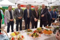 Tarihi Malhun Hatun Tatlisi Orhangazi'de Tanitildi Haberi