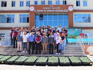 Tunceli'de 228 Üreticiye 84 Bin Domates Fidesi Dagitildi