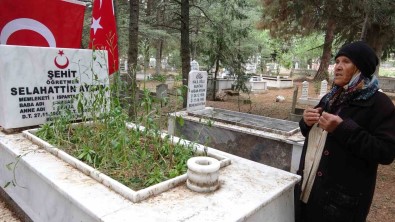 Bingöl'de 31 Yil Önce Sehit Edilen Ögretmenin Annesi Açiklamasi Acisi Hala Bagrimda