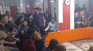 Diyarbakır'da Horoz Koruma Derneğine 'Horoz Dövüşü' operasyonu: Suçüstü yakalandılar