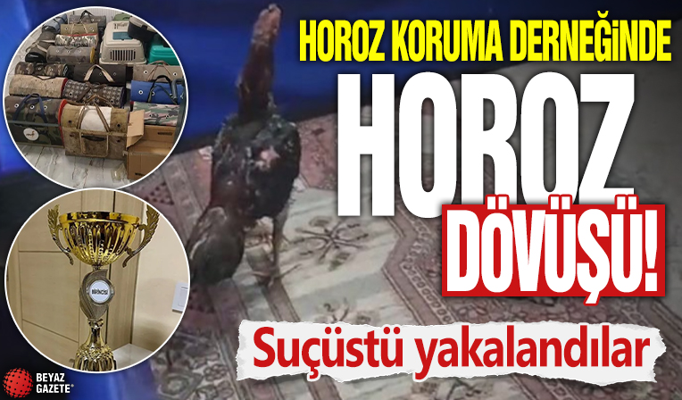 Diyarbakır'da Horoz Koruma Derneğine 'Horoz Dövüşü' operasyonu: Suçüstü yakalandılar