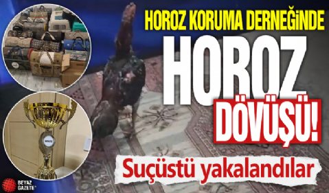 Diyarbakır'da Horoz Koruma Derneğine 'Horoz Dövüşü' operasyonu: Suçüstü yakalandılar