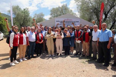 Muglali Aricilara Damizlik Ana Ari Dagitimi