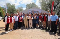 Muglali Aricilara Damizlik Ana Ari Dagitimi