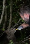 Yolda Gördügü Yavru Ayiyi Biberonla Besledi