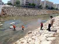 Nusaybin'de Çag Çag Deresi'ne Atilan Çöpler Temizlendi