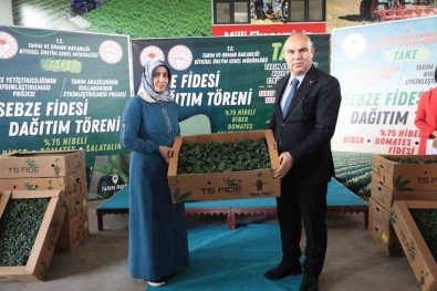 Agri'da 500 Isletmeye 250 Sebze Fidesi Dagitildi