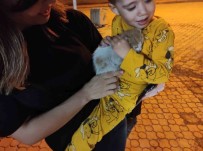 Aracin Motoruna Giren Kedi Yavrusu Jandarma Tarafindan Çikarildi
