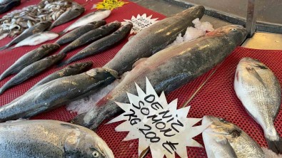 Avlanma Yasagi Olsa Da Tezgahlar Balik Çesitleriyle Dolu