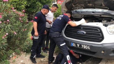 Kozan'da Aracin Motoruna Giren Kediyi CANKUR Ekipleri Kurtardi