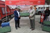 Nazilli'de 45 Bin Fide Dagitildi