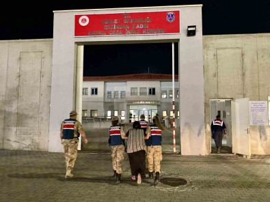 Suç Makinasi Kadin Üzümlü'de Yakalandi