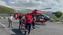 Arilarin Soktugu Hasta Ambulans Helikopterle Tatvan'a Sevk Edildi