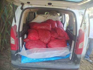 Bandirma'da Kaçak Midye Operasyonu Açiklamasi 79 Bin 500 TL Ceza