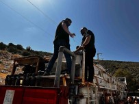 Didim'den Tunus'a 1 Milyon Çipura Yavrusu