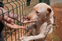 Gaziantep'te Kurulan Barinak Türkiye'ye Örnek Oldu