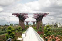 Karatay Mevlana Gül Parki Yeni Sezon Için Kapilarini Açti