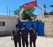 Mardin'de Yakalanan 44 Süpheliden 10'U Tutuklandi