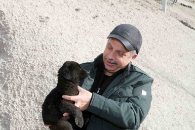 Talas'ta Türkiye'ye Örnek Pati Evi