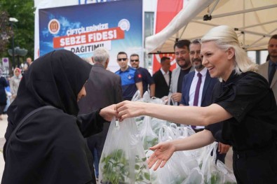 Toprakla Bulusturulmak Üzere Ücretsiz 43 Bin 500 Fide Dagitildi