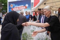 Toprakla Bulusturulmak Üzere Ücretsiz 43 Bin 500 Fide Dagitildi