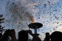 Altin Safran Festivali'nin Mesalesi Çeyrek Asir Için Yandi