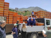 Devletin Destegiyle Organik Bal Üretimi Ve Ari Besiciligi Yayginlasiyor