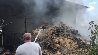 Samanlik Yangininda 15 Büyükbas Hayvan Telef Oldu