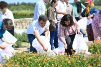Tarihi Alan'da 'Gazi Köylerde Sifa Çiçekleri Açiyor' Projesi Hayata Geçirildi