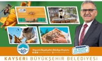 Büyüksehir'in 3 Milyon 700 Bin TL'lik Hobim Aricilik Projesi'nde Kuralar Çekiliyor