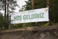 Gümüshane'de 'Orman Benim' Etkinliginde Ormanda Temizlik