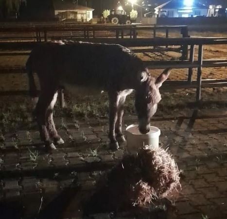 Kayseri’de ilginç olay: Bölgeye polis ve sağlık ekipleri sevk edildi