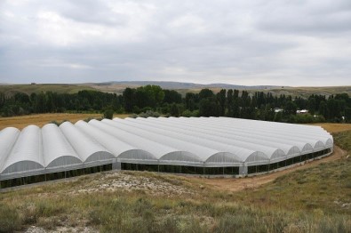 Çankiri'da 50,8 Milyon TL'lik Tarimsal Yatirim Yapilacak