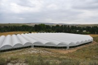 Çankiri'da 50,8 Milyon TL'lik Tarimsal Yatirim Yapilacak