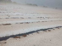 Dolu Yagisi Ekili Arazileri Beyaz Örtüyle Kapladi