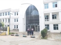 Giresun'da Dolandiricilar Yakalandi