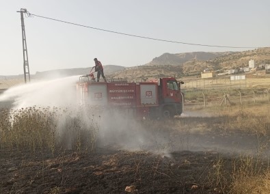 Mardin'de Ormanlik Alanda Çikan Yangin Söndürüldü