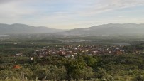 Orhangazi Yeniköy'de Uyuz Vakalari Artti, Muhtarlik Uyardi Haberi