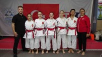 Tavsanli'dan 5 Karateci, Balkan Sampiyonlugunu Hedefliyor
