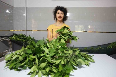 10 Yillik Meslegini Birakan Kadin, Aldigi Devlet Destegiyle Kendi Isinin Patronu Oldu